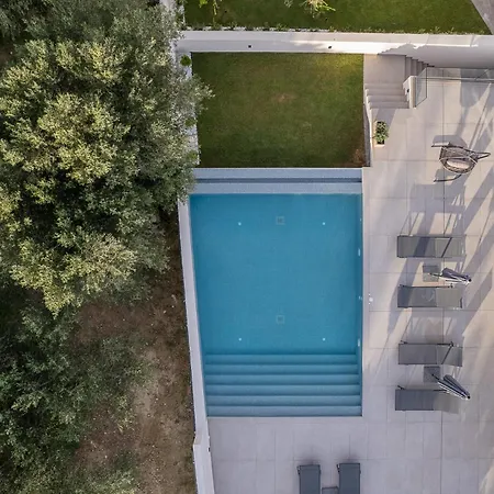 Kymothoe Elite * Planos